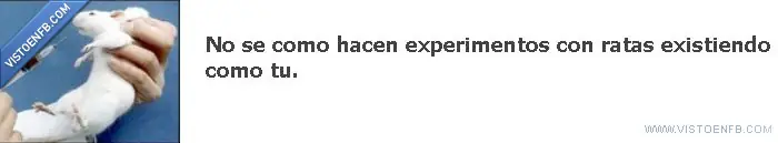 Entra y llevate una Frase 2da parte