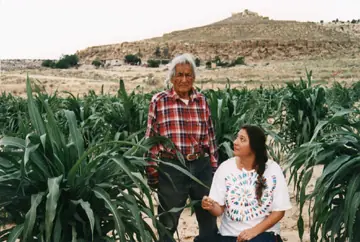 Mensaje a la Humanidad