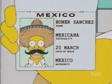 jaja