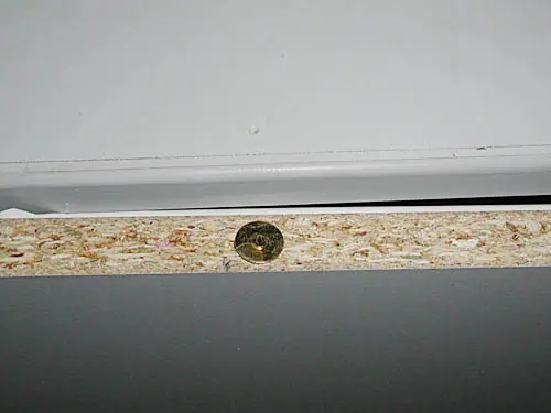 guitarra