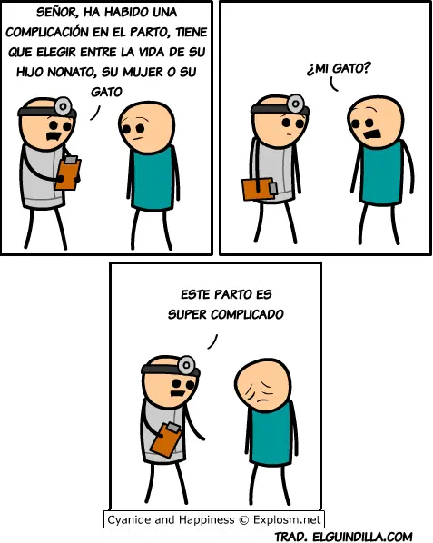 protocolo