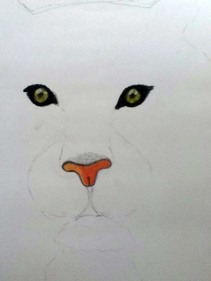 Un tigre