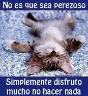 y demas