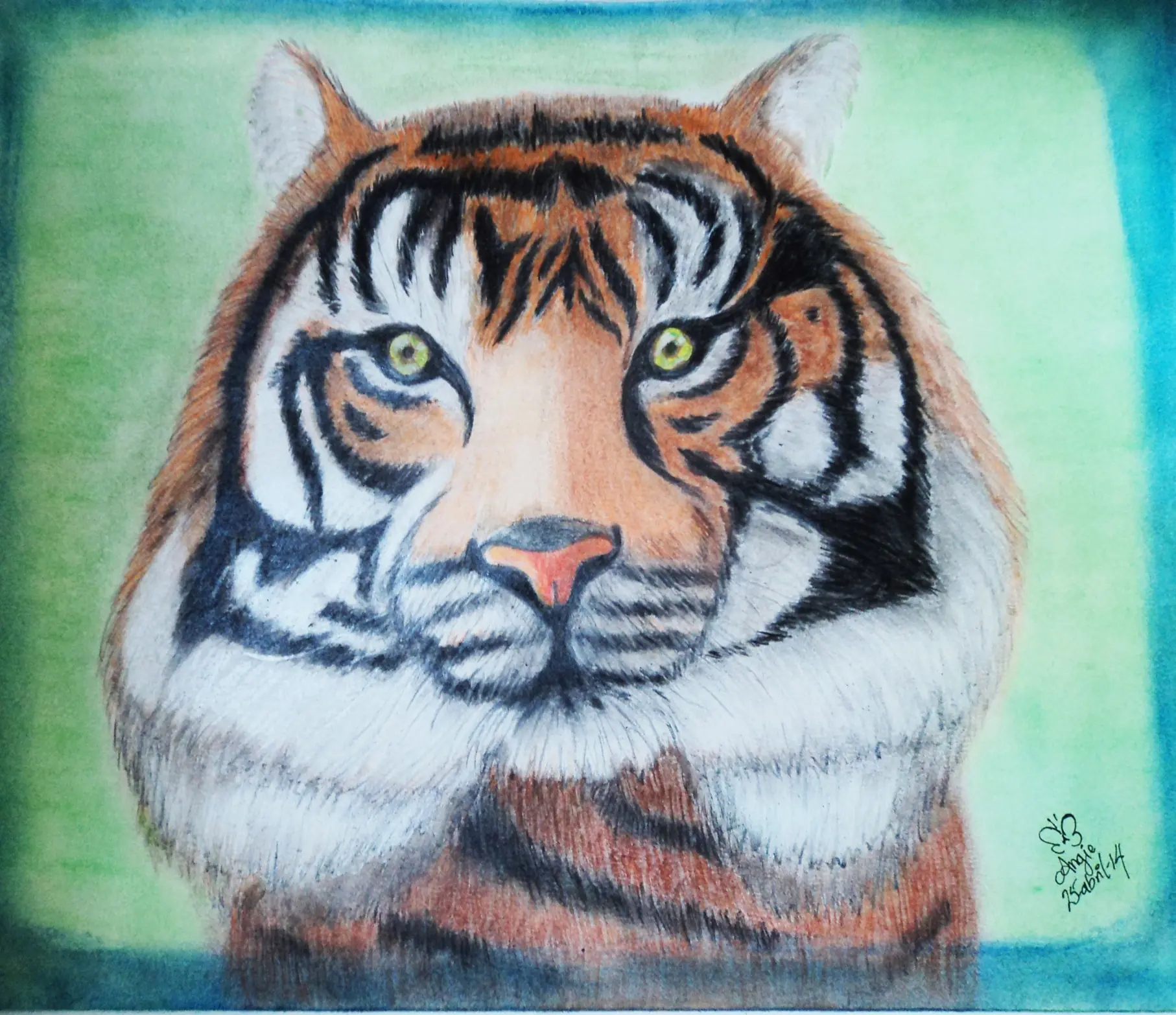 tigre