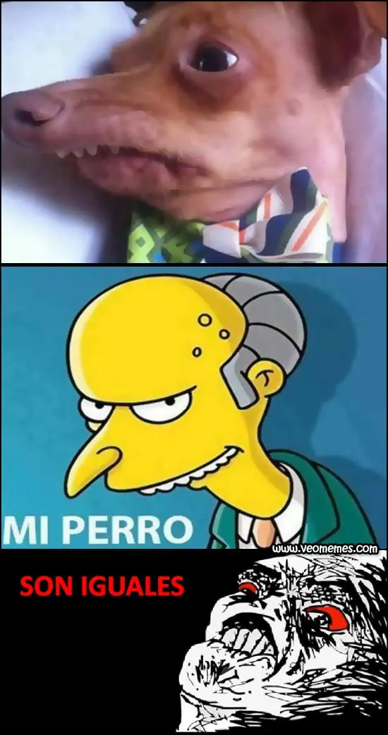 memes
