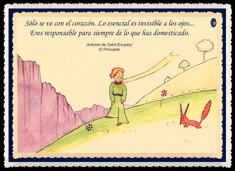 reflexion