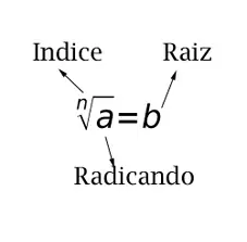 numeros