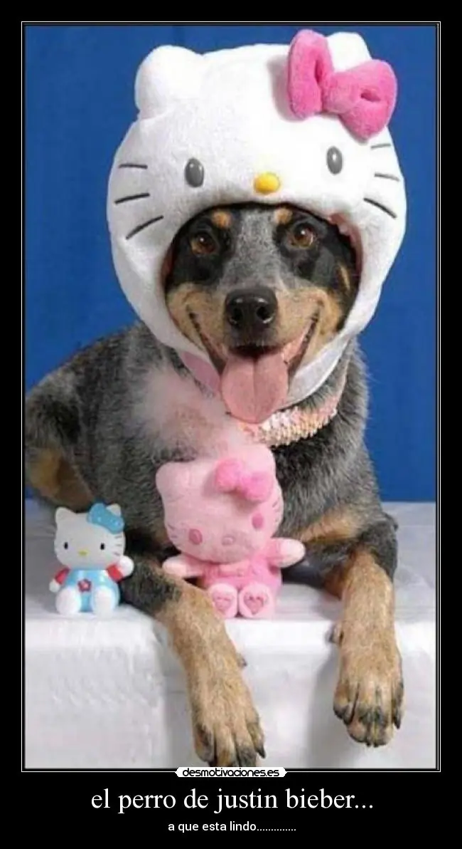 Desmotivaciones de Justin Bieber (35)