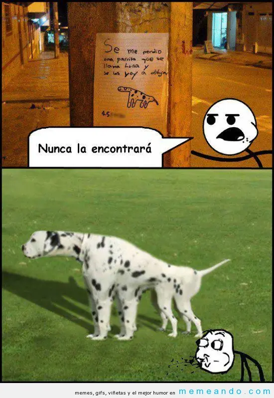 mala suerte brian