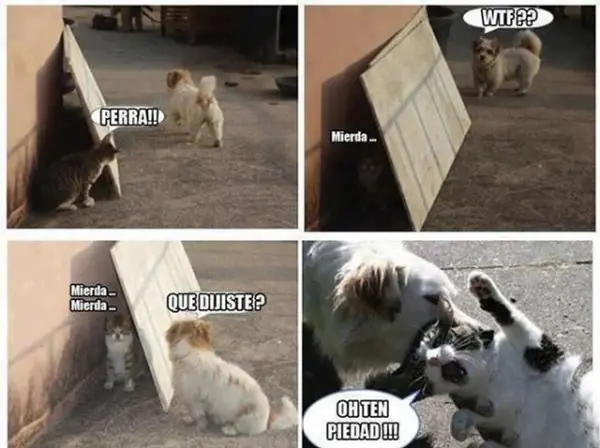 humor