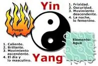 yin y yang