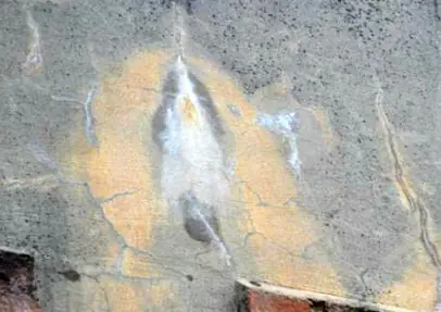 Impactante: Descubren la imagen de la Virgen María en una p
