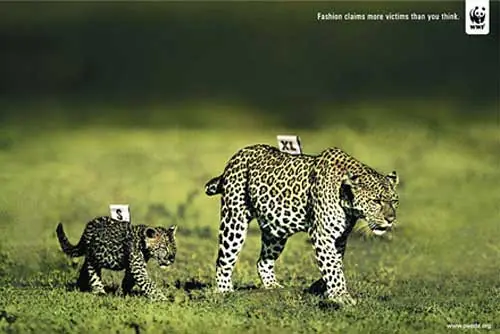 imagenes