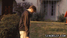 Gifs