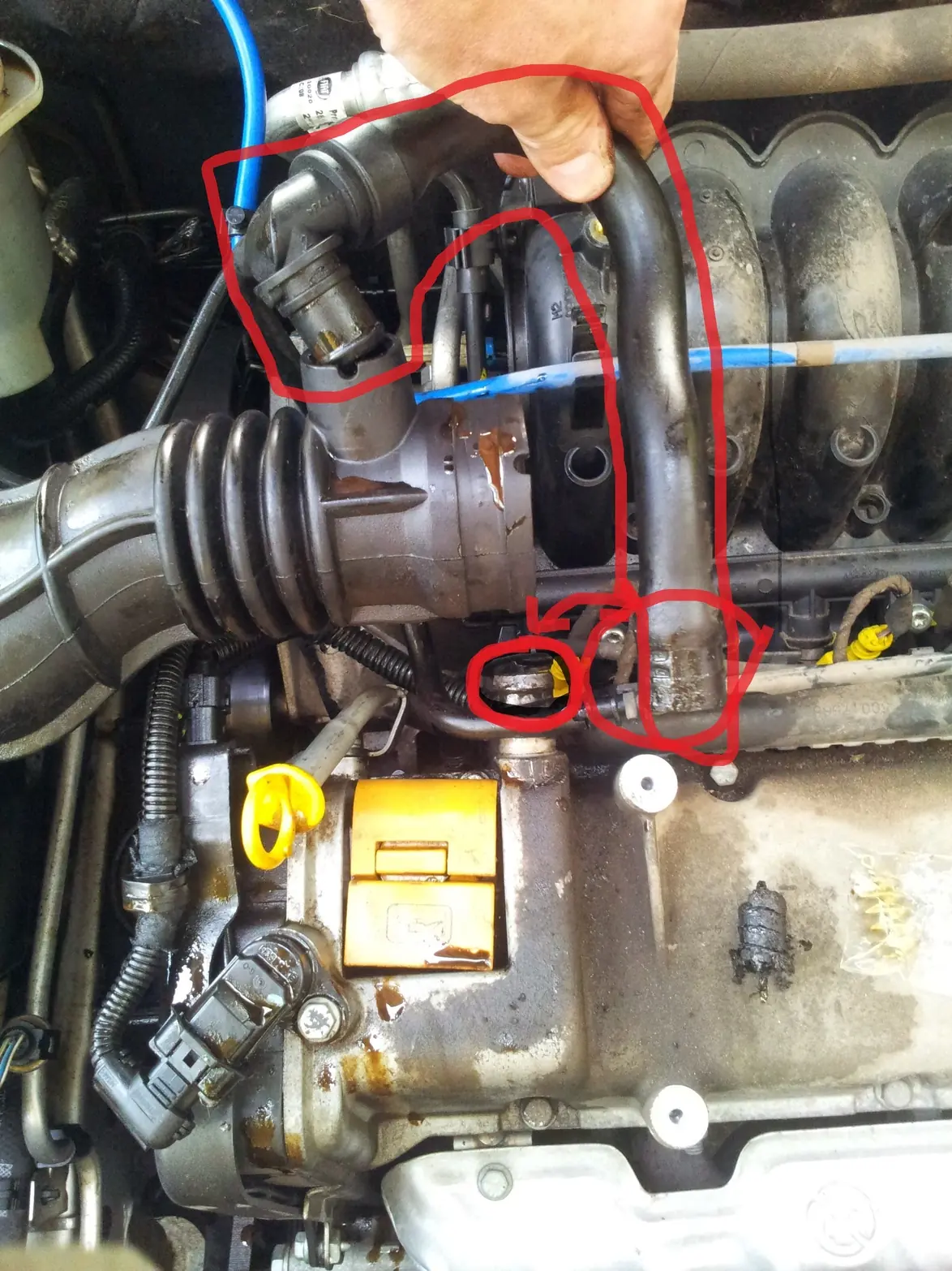 aceite de motor