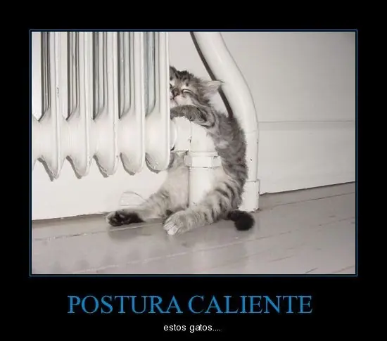 Si no te reis no sos humano o no sos taringuero 7