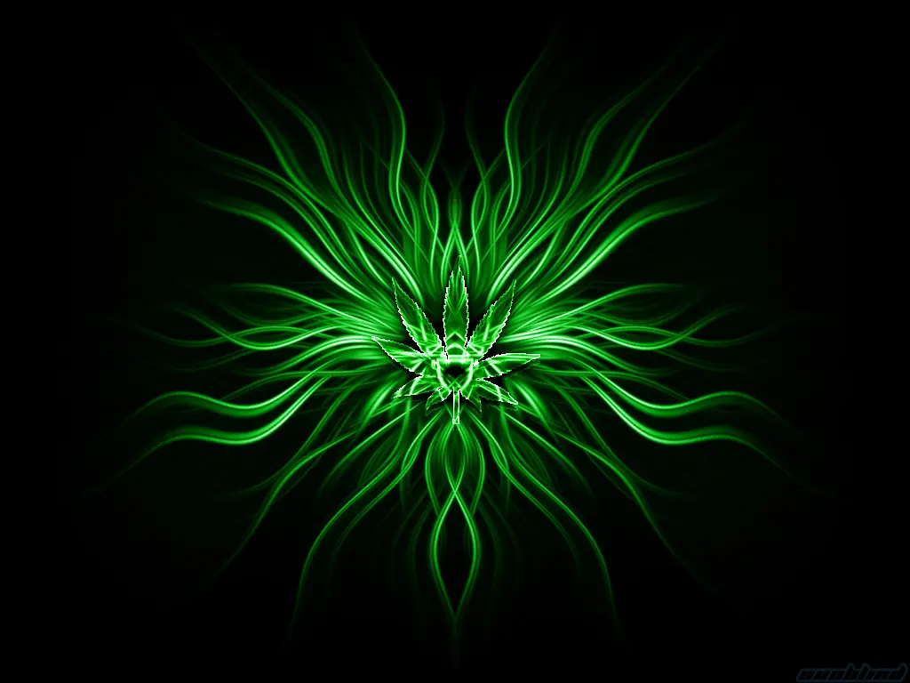 fondos de pantalla