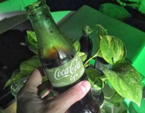 coca
