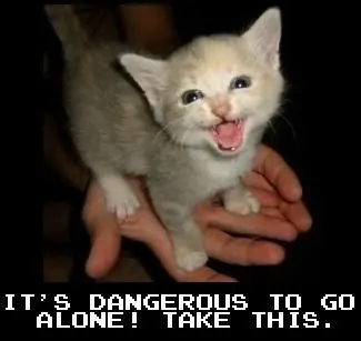 cats