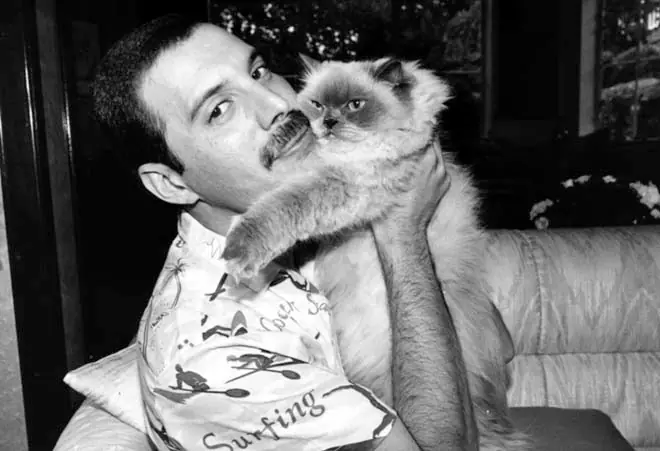 Los 10 datos más curiosos sobre Freddie Mercury