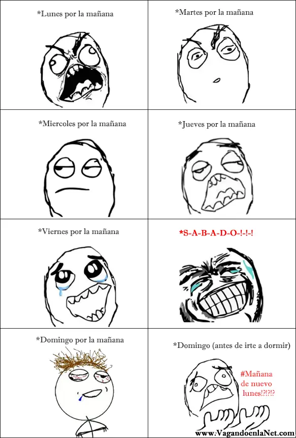 Memes & Gifs 4