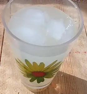 Cómo preparar agua saborizada casera de cítricos