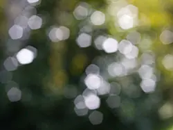 de fotografía