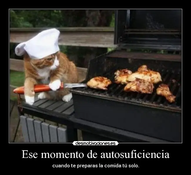 amistad