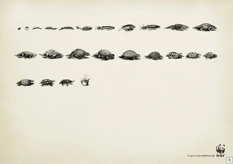 cambiar el mundo