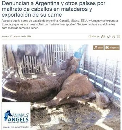 Denuncian a Argentina y otros países por maltrato