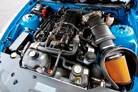 mustang