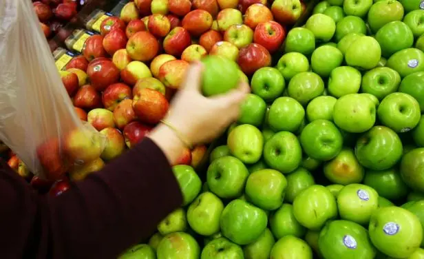Los cinco mejores alimentos para desintoxicar tu organismo