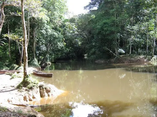 ecologia