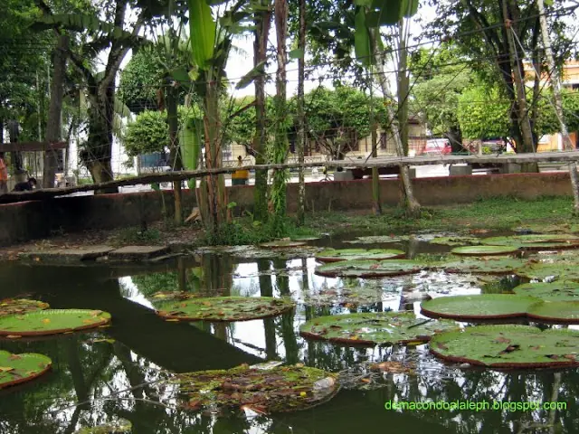 Reflexiones desde el Amazonas (relato y fotos propias)