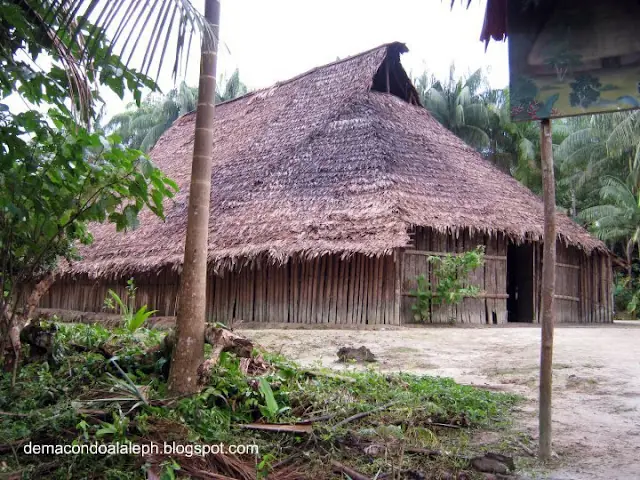 amazonas