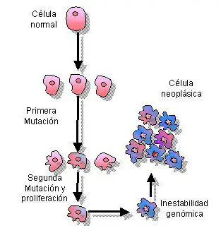 Curiosidades (interesantes)