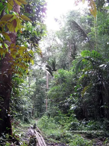 Colombia