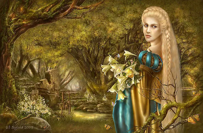 Ilustraciones de Fantasia