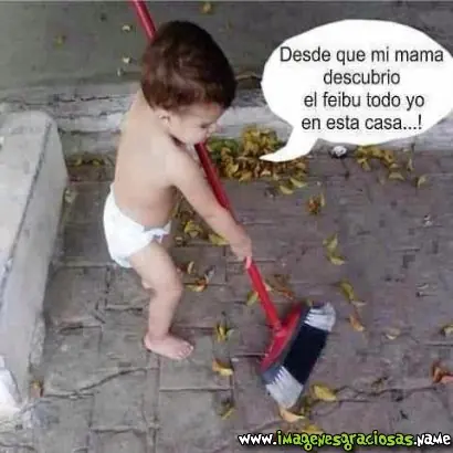 imagenes