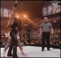 Fails de luchas (las peores peleas) gifs