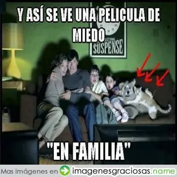 +5 si te hago reir
