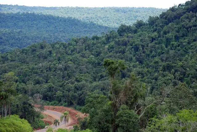 Ecoturismo