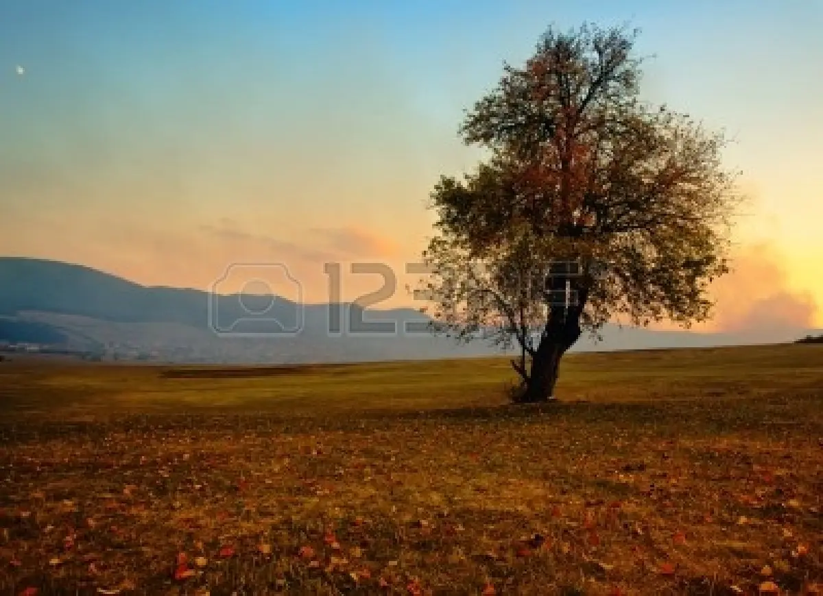Relaja tu mente con estos paisajes [Arte]