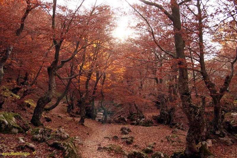 paisajes