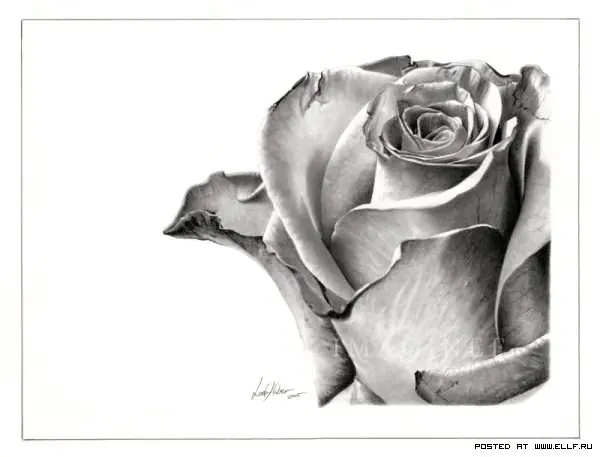 blanco y negro