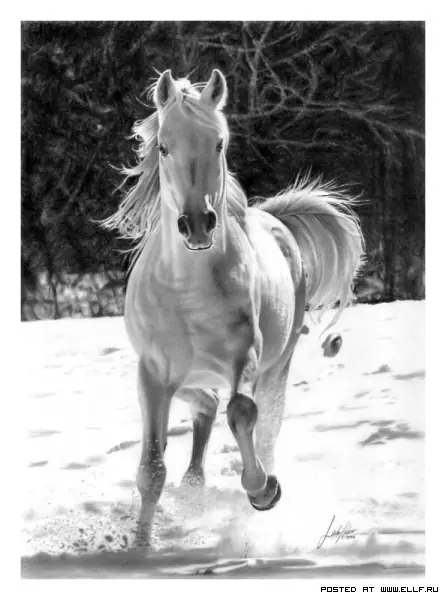 blanco y negro
