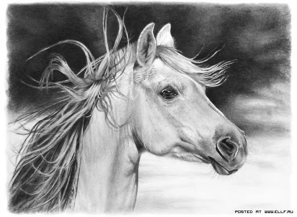Unos dibujos buenísimo con carboncillo