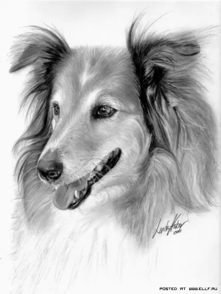 Unos dibujos buenísimo con carboncillo