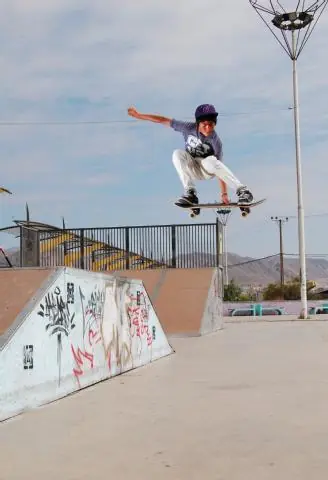 tony hawk