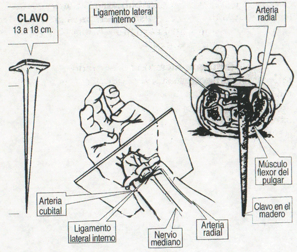 romanos